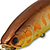 Воблер Lucky Craft Pointer SW 763 Aurora Calico Bass