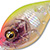 Воблер Megabass Picus Haze Special Appeal Chart
