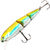 Воблер Namazu Clockwork Moto Long 85F (8г) 1