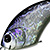 Воблер OSP HPF Crank H-09