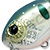 Воблер Pontoon 21 Fop 32F (2,5 г) SR 013