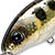 Воблер Pontoon 21 Gem 34F-SR (1,8г) 501