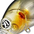 Воблер Pontoon 21 JPP TabaTao 50F-SR (11.6 г) 001