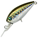 Воблер Pontoon 21 Mojarrilla 40F-MR (3,4г) 915