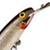Воблер Rapala Countdown Magnum CDMAG07 (12 г) S