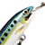 Воблер Rapala Countdown Magnum CDMAG11 (24 г) SRD