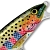 Воблер Rapala Flat Rap FLR08 (7 г) RT