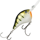 Воблер Rapala DT SureSet DTSS04 (9 г) YP