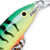 Воблер Rapala Magnum Floating FMAG09 (13 г) FT