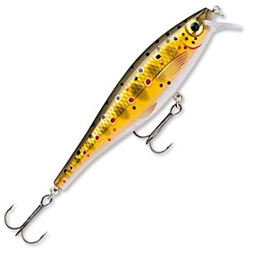 Воблер Rapala BX Minnow BXM10 (12г) TR
