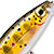Воблер Rapala BX Minnow BXM10 (12г) TR