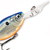 Воблер Rapala Jointed Shad Rap JSR04 (5г) BSD