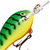 Воблер Rapala Mini Fat Rap MFR03 (4г) FT