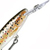 Воблер Rapala Minnow Rap MR07 (6 г) TR