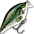 Воблер Rapala Scatter Rap Crank Shallow (9г) BB