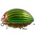 Воблер Salmo Bass Bug (26 г) GBG