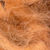 Даббинг Semperfli Kapok Dubbing Light Brown