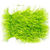 Синель Semperfli Extreme String (40мм) Chartreuse