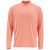 Термофутболка Simms SolarFlex LS Crewneck Solid (Pink) р.S