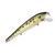 Воблер Strike King Wild Shiner, HCWSS-531