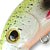 Воблер TsuYoki Pet 155