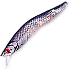 Воблер Yo-Zuri Permalite Arc Minnow F31 (6.5г) C18
