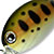 Воблер Zipbaits Baby HickoRy SR (2,6г) ZR002R