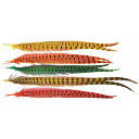 Перья Superfly Ringneck Pheasant Center Tail