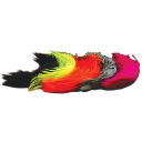 Перья Superfly Spey Hackle