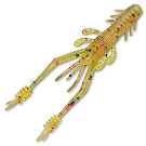 Силиконовая приманка Select Sexy Shrimp