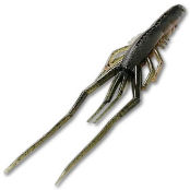 Силиконовая приманка Daiwa Bubble Shrimp