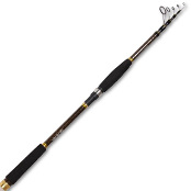 Спиннинг Daiwa Regal Tele Spin