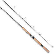 Спиннинг Daiwa Saltiga Coastal Game