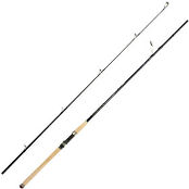Спиннинг Daiwa TD Taimen