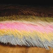 Перо страуcа Orvis Ostrich Herl