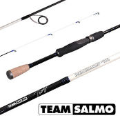 Спиннинг Team Salmo Tioga