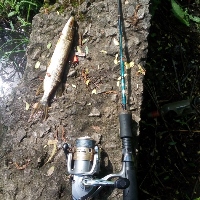 Вечная катушка daiwa crossfire
