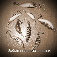 Забытые речные шершни. Обзор воблера Salmo Hornet