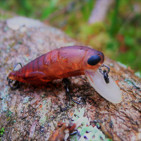 Обзор Elfin Grasshopper. Кузнечик от Tackle House
