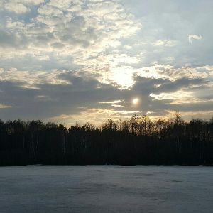 Балансир Allvega Fishing Master: рыбалка с удачным клоном.