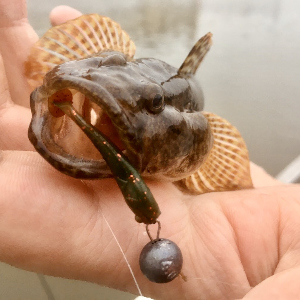 Обзор виброхвоста Lucky John Pro Series Baby Rockfish: приманка, в которую верю