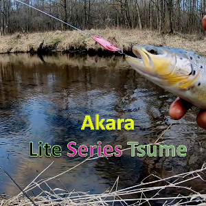Akara Tsume – такая странная, но невероятно уловистая.