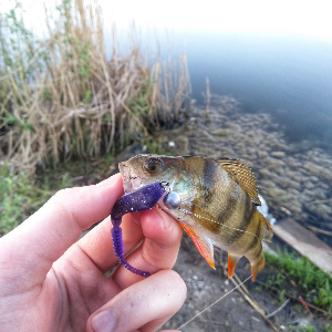 HitFish Cristalis: кристал, который понравится всем