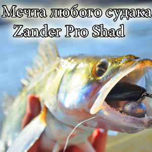 Мечта любого судака - Zander Pro Shad