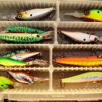 KOSADAKA–FISH TEST