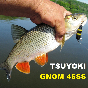 Искуситель голавля. Обзор воблера TsuYoki GNOM 45SS.