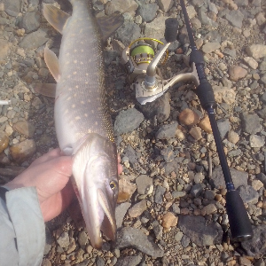 Рыбалка в стиле rockfish от "Волжанки". Обзор спиннинга Волжанка Стилет.