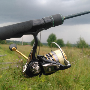 Обзор Daiwa Exc 2000D - золотая середина среди бюджетных катушек серии LT