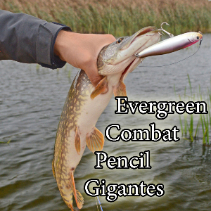 Щучий гигант от Evergreen. Обзор Combat Pencil Gigantes