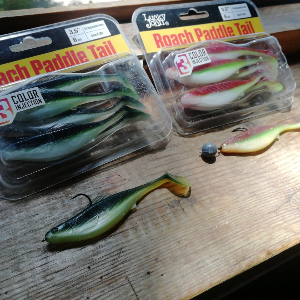 Обзор Lucky John Pro Series Roach Paddle Tail: очередная плавучка